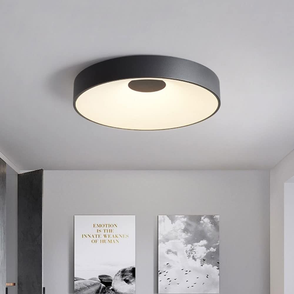 Denmark Design LED Ceiling Light Super Bright Flush Mount Ceiling Lights 3 Color Temperatures in One (3000K/4000K/6500K) 25W Easy to Install Lighting Fixture Panel Lamp Used for Bedroom Study(Black,22