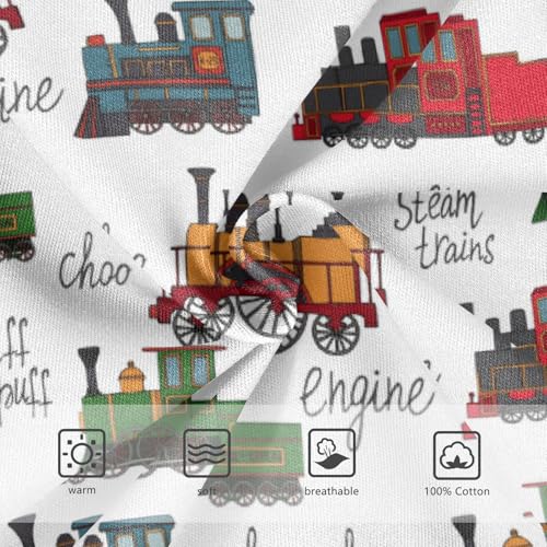 Boys' Exclusive Briefs Toddler Underwear 95% Combed Cotton Boxerbriefs 2T Steam Train Pattern Cars 173