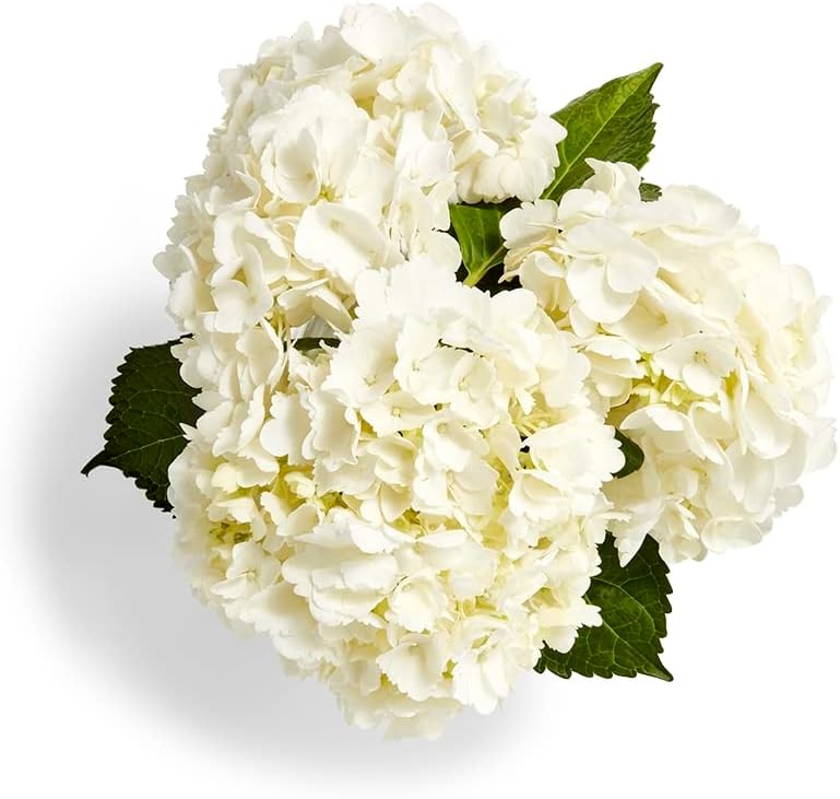 Floral Combo Hydrangea 3 Stem Bundle - Vibrant Faux Blooms for Bouquets, Vases & Home Decor (Colors Vary)