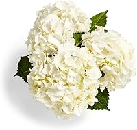 Floral Combo Hydrangea 3 Stem Bundle - Vibrant Faux Blooms for Bouquets, Vases & Home Decor (Colors Vary)