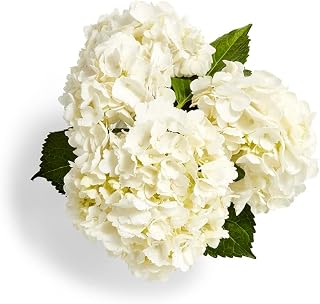Floral Combo Hydrangea 3 Stem Bundle - Vibrant Faux Blooms for Bouquets, Vases & Home Decor (Colors Vary)