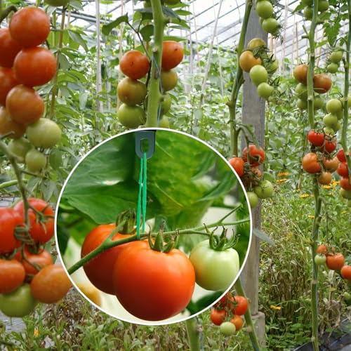 VINEST 50x Gewächshausclips mit 20x Haken, Gewächshaus Zubehör mit 6KG Hoher Tragkraft, Gewächshaus Klammern zum Aufhängen und Klettern von Pflanzen, Perfekte Ösen Rankhilfe Clips