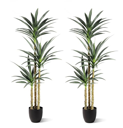 2 for 1 Get Two of The Most Realistic Dracaena Trees Hyper Realistic with Real Touch Detail. 5 feet...
