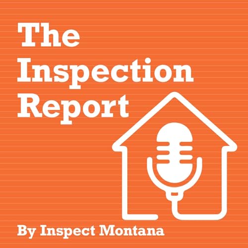 Couverture de The Inspection Report