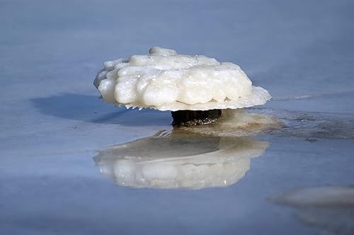 Miniatura 3 de Sales de baño de copos de magnesio  Suplemento de magnesio premium sales de baño para mujeres relajantes  Suplementos minerales para alivio