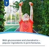 SanaExpert® Arthro Forte, Nahrungsergänzung für Gelenke, Knochen, Knorpel mit MSM, Glucosaminsulfat, Weihrauch, Chondroitin, ohne Zusätze, 120 Kapseln