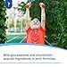 SanaExpert® Arthro Forte, Nahrungsergänzung für Gelenke, Knochen, Knorpel mit MSM, Glucosaminsulfat, Weihrauch, Chondroitin, ohne Zusätze, 120 Kapseln