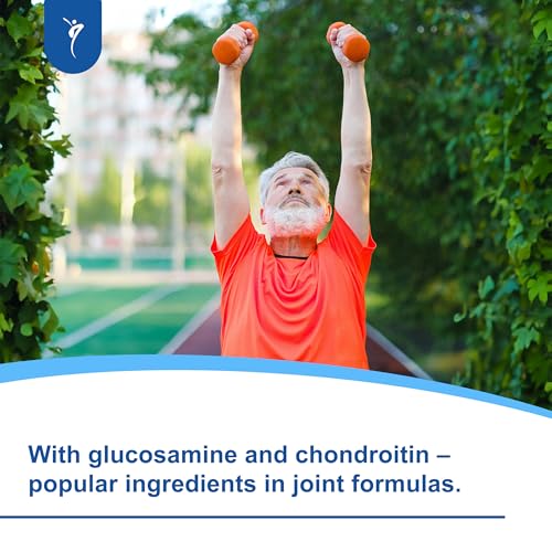 SanaExpert® Arthro Forte, Nahrungsergänzung für Gelenke, Knochen, Knorpel mit MSM, Glucosaminsulfat, Weihrauch, Chondroitin, ohne Zusätze, 120 Kapseln