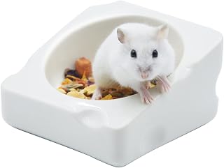 Hamster Food Bowl/Food Dish,Ceramic Feeding Bowls for Guinea Pig/Dwarf Hamster/Gerbil/Chinchilla and Other Small Animals,White