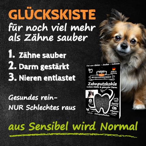 QCHEFS Glückskiste NAPF für Hunde, Schleck Napf + Aufbewahrung Box für Zahnpflege Leckerlie mit Starterset Zahnpflege bei Mundgeruch und als Zahnsteinentferner