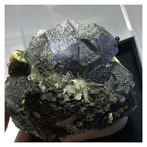 Pierre enseignement minéralogie fluorite et pyrite verte 203.3g - 2