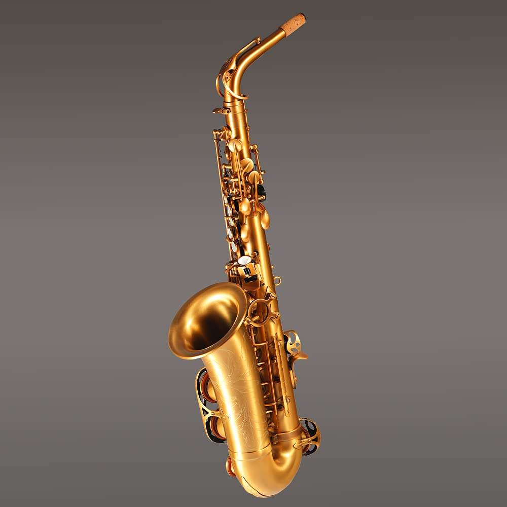 Rollins Saxophone alto RSA-X4,E flat,Selmer 54-Key,Matière laiton,Or