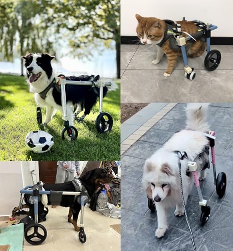 Silla de ruedas para perros grandes: devuélvale la alegría de correr 3