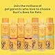 Burts Bees Tränenloses 2-in-1-Shampoo und Conditioner für Welpen, mit Buttermilch- und Leinöl, 473 ml, Weiß