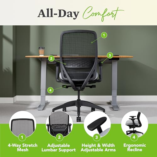 HON Nucleus Ergonomic Office Chair with Advanced Synchro‑Tilt, Adjustable Lumbar Support and Arms, Mesh Desk and Computer Chair for Home Office or Workstation, Titanium Frame, Breeze by HON - Image 4