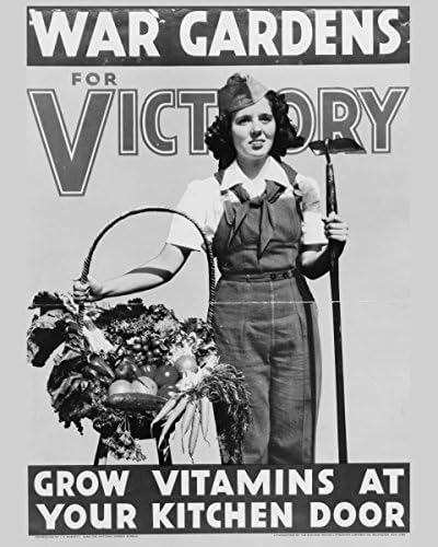 ClassicPix Photo Print 8x10: War Gardens for Victory-Grow Vitamins at Your Kitchen.