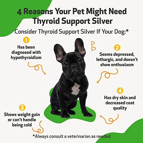 Pet Wellbeing - Thyroid Support Silver For Dogs - Natural Support For Hypothyroidism & Under Active Thyroid In Canines - 2Oz (59Ml) #TOP1