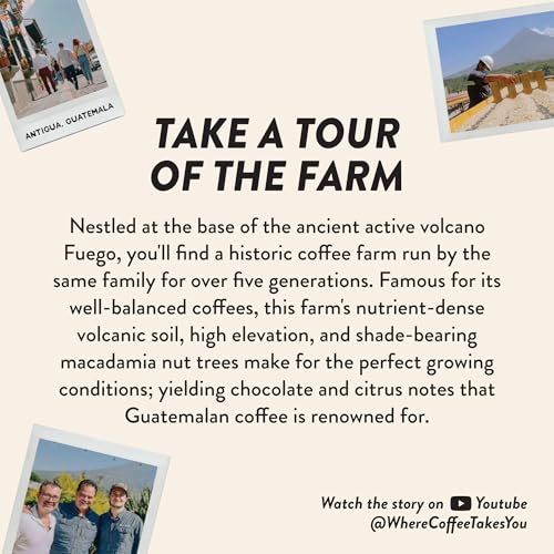 Image of Angelino's Coffee Breakfast in Antigua Coffee Pods, 24 Count - Medium Roast Shade-Grown Guatemalan Blend, K Cup Compatible for Keurig - Notes of Chocolate, Caramel & Citrus