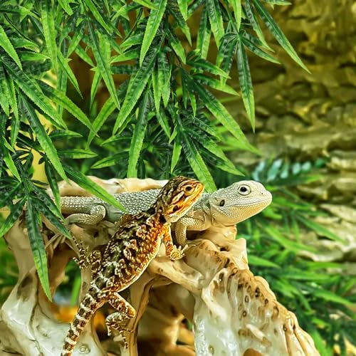 QUOZUO Bearded Dragon Tank Accessories Terrarium Plants, 2 Pack Reptile Hanging Plants Artificial Ferns Ivy, Reptile Tank Accessories for Bearded Dragon Lizard Snake Terrarium Decor
