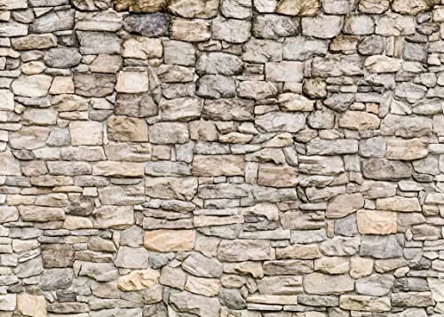 Fondo fotográfico BELECO 8x6 ft piedra vintage gris miniatura 1