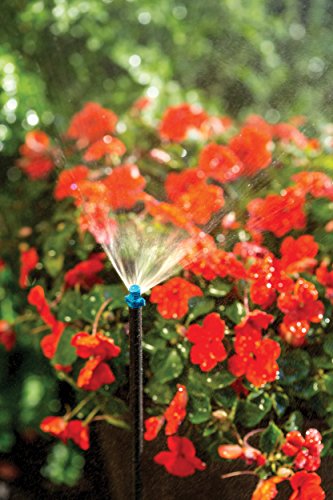Rain Bird Msfqstkx Drip Irrigation Close Coverage Fan Spray On Riser Stake, 90° Quarter Circle Pattern, 5' Spray Distance #TOP1