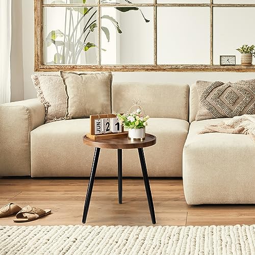 danpinera Round Side Table, Metal Legged Accent Table with Wooden Tray, Small Round End Table for Living Room, Bedroom, Nursery, Brown & Black