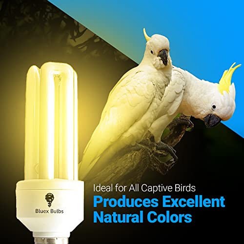 Bluex Bulbs Reptile 20W Uvb 2.4 Bird Cfl Sku 120 20-Watt Bird Avian Light 2.4% Uvb Uva Fluorescent Lamp thumb #1