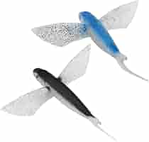 トビウオと鯨 51bF-uOmJNL._AC_SY200_QL15_.jpg