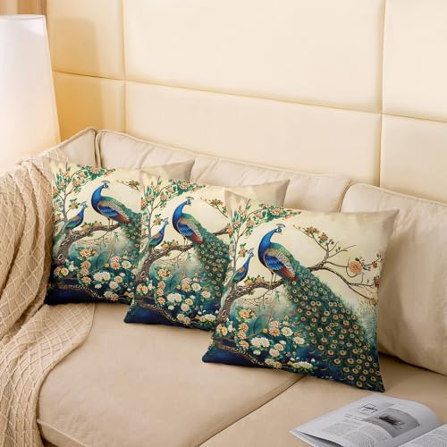 Housse de coussin paon 40x40 pour un canapé chic