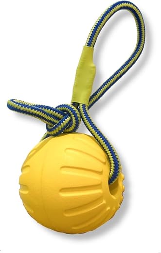 ART VIHAR Foam Ball on a Rope Dog Toy | Interactive Pet Training Toy for Dogs | Improves Dental Health, Safe &amp; Non-Toxic |...
