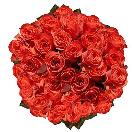 GlobalRose Long Stem Dark Orange Roses 150 Orange Roses