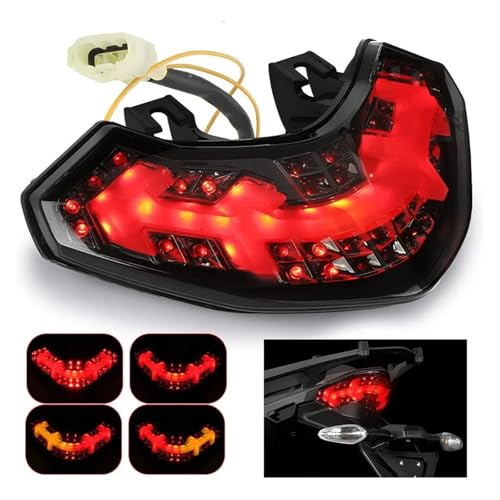 Luz trasera LED integrada para Ducati Multistrada 1200 de 2010 a 2014 con intermitentes 4