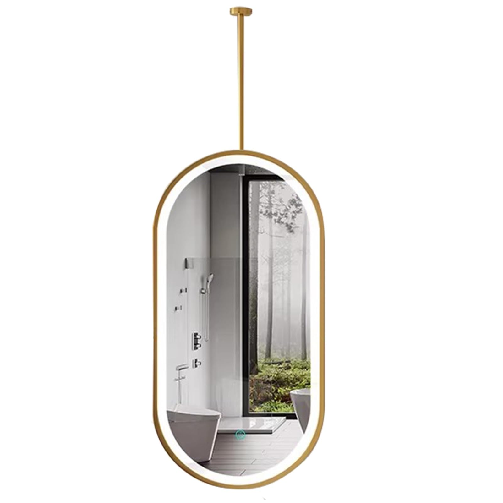FGXHHS Gold Oval with LED Lighting, Ceiling Mounted Vanity Mirror, Suspended Corridor Mirrors - 3 Colors Dimmable Light(50cmx100cm)