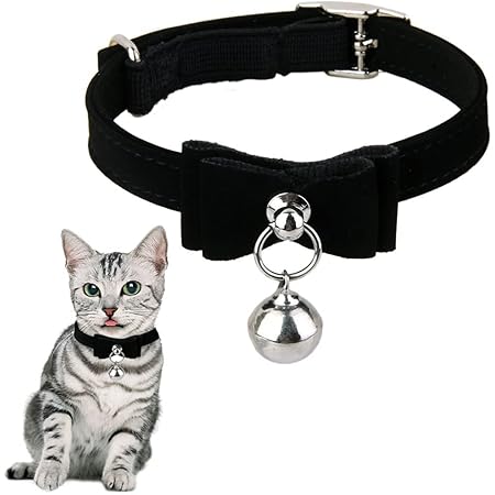 black cat collar with bell