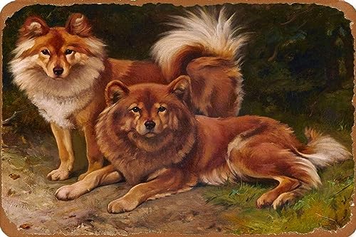 AJ AeB[N Ŕ̃uLŔ 20X30cm tBhXsbcfIqqre[W|pvg Be[W uL Ŕ AJ W 20X30cm