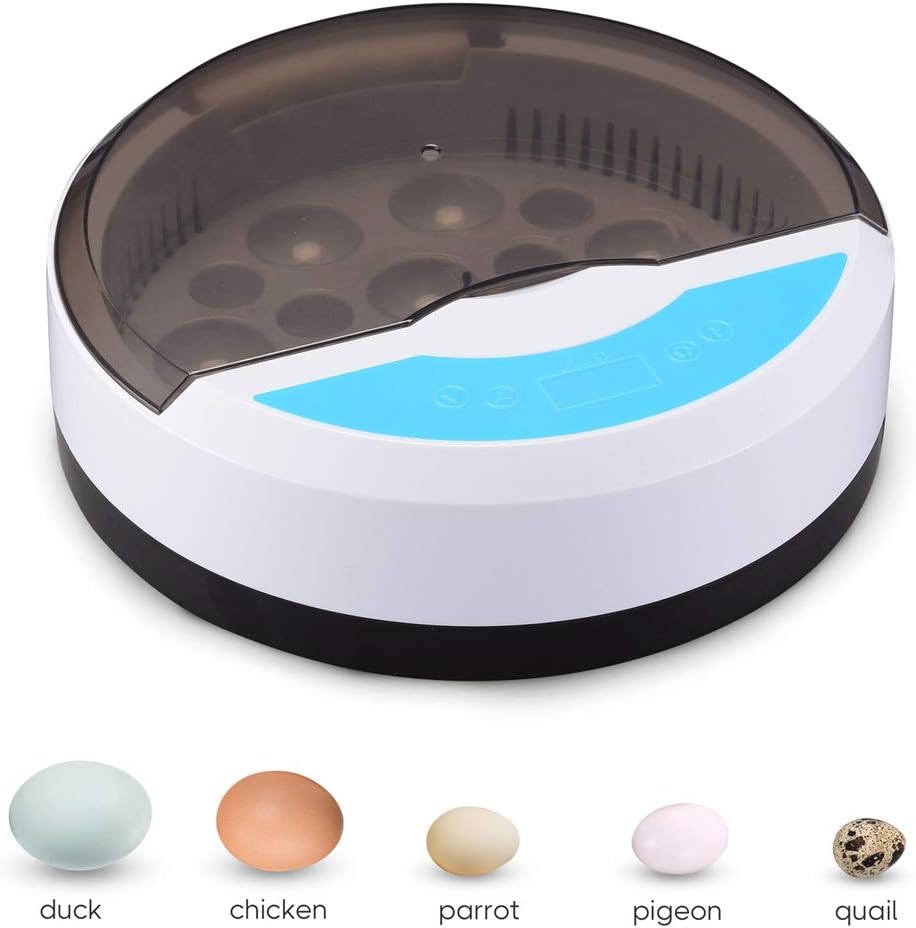 Incubator with various egg types