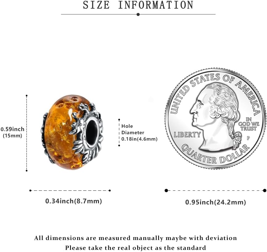 PARCOM Charms S925 Sterling Silver Fits for Pandora Bracelets perfect Valentine's Day gift, Cherry Blossom Dangle Beads Jewelry for Women - Image 5