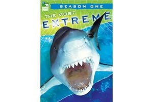 Most Extreme Animal Planet Shows: Ranked