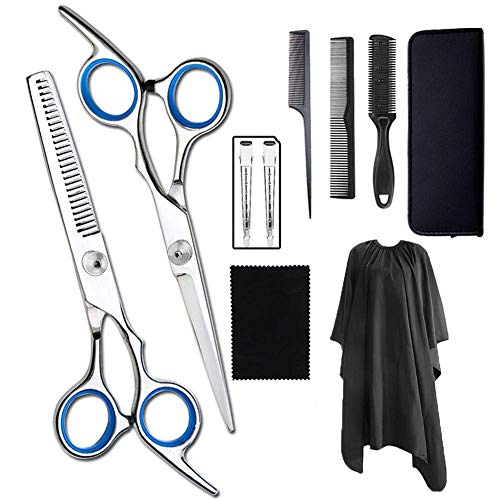 10 PCS Hair Cutting Scissors Set Professional Hairdressing Scissors Kit Stainless Steel Hair Cutting Shears Kit with Cape Clips Comb for Women Men Pet (Blue)
