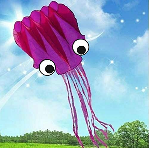 5M Large Octopus Parafoil Kite with Handle & String by Amazona's presentz