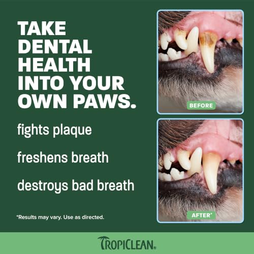 Image of TropiClean Fresh Breath Dog Tooth Brushing Kit for Small /Medium Dogs