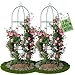 TTL Garden Obelisk Rankhilfe L 165x40cm grün 2er Set - Rosen Rankgitter Metall rostfrei für Kletterpflanzen Rosen Clematis - pulverbeschichteter Stahl 165 cm hoch 40cm Ø Rankturm Tomaten Gurken