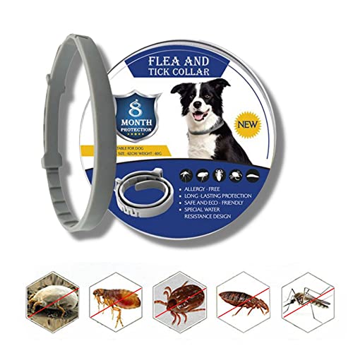 Collar Antiparasitario Perros y Gatos Impermeable.62cm,Tamaño Ajustable para Mascotas Pequeñas,Medianas,Grandes. Mejor Collar Antiparasitos contra Pulgas,Garrapatas,Parásitos,8 Meses Protección