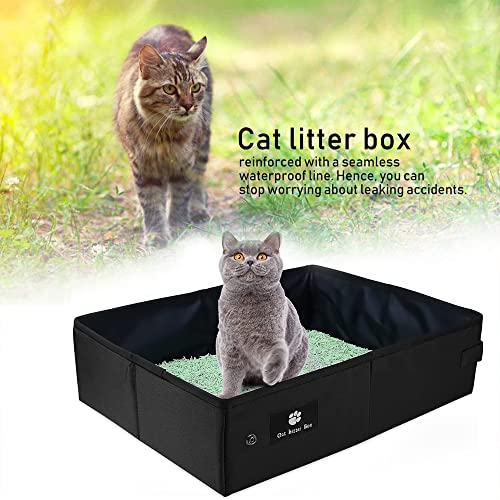 Cat Litter Box Lettiera, Cassetta per Lettiera