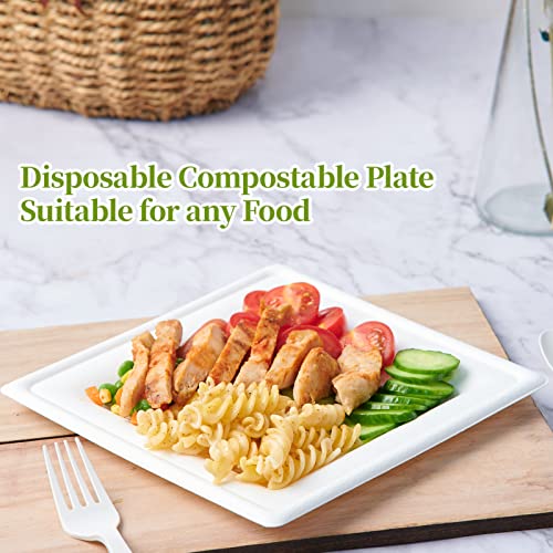 Ecolipak 120 Pack Compostable Paper Plates, 10 Inch And 8 Inch Heavy Duty Disposable Square Plates, Eco-Friendly Sugarcane Biodegradable Plates For Party Dinner Birthday #TOP2
