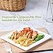 ECOLipak White 10 inch 150 Count Eco-friendly Compostable Plates 6
