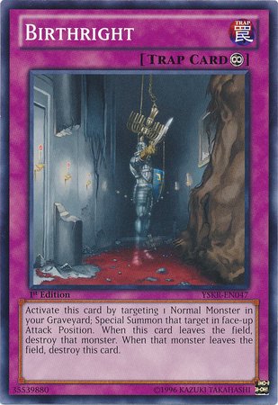 Amazon.com: Yu-Gi-Oh! - Birthright - YSKR-EN047 - Common - Unlimited  Edition