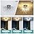 HMVPL Black Ceiling Light Fixture,6-Light Firework Sputnik Flush Mount Ceiling Light with K9 Crystal String,Modern Close to Ceiling Light for Bedroom Bathroom Hallway Kitchen Entrance Closet