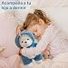 Imagen de HBSFBH Oso de Peluche
