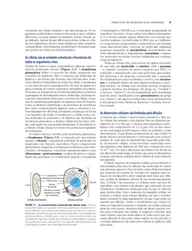 Princípios de Bioquímica de Lehninger